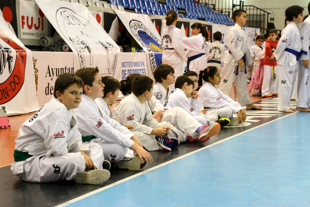 Taekwondo Dic 2016 (135).jpg
